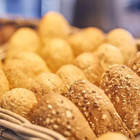 De Lindeboom Den Burg