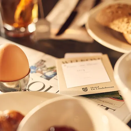 De Lindeboom Den Burg