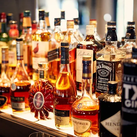 De Lindeboom 3* Den Burg