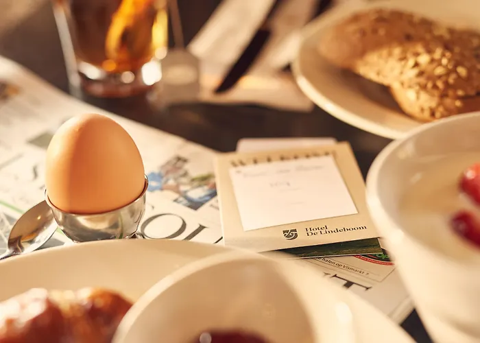 De Lindeboom Den Burg