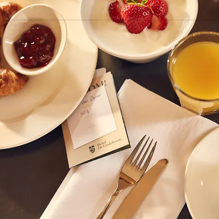 De Lindeboom دِن بورِخْ