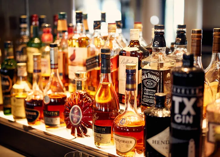 De Lindeboom 3* Den Burg